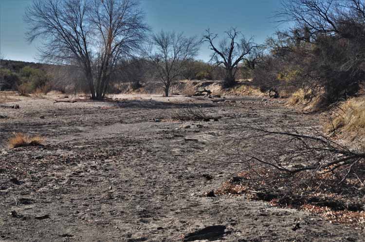 burn area